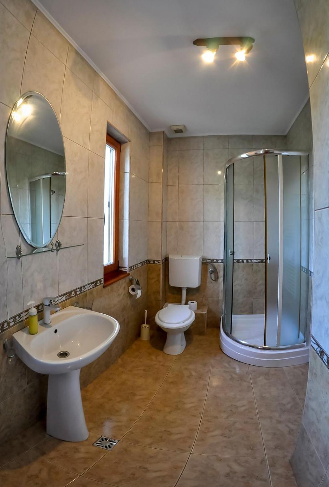Pensiunea Sub Cetate Pensiune 3*